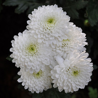 2011���ݾջ�չ