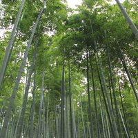 �Լݰ���ũ���������