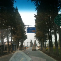 ���زȵ����