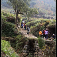 11.20 ������ɫ--�ϻƹŵ�