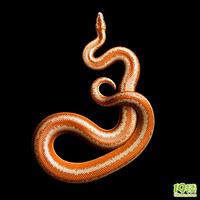 ����������������