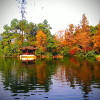 ����һ���˹�����������Щ��Ƭ����������