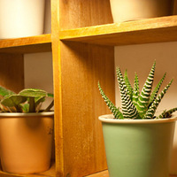 zakka񡿲ִʽϾӡֿҲܰ 