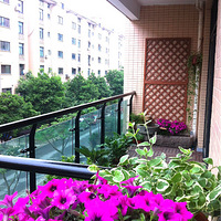 �ִ���Լ���