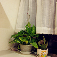 С 35ƽ׵һһҲԺܴܰ