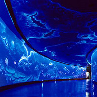 �������������ģ����ǵ�����ǽ������