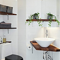 ��������е�С����~~�ڰ˸���