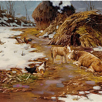 ��Ʒ��װ�λ�