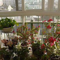 ����һ������ļ��� �Ҽ�ֲ����happy 