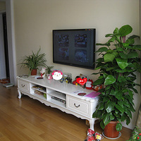 55ƽ����Լ���� ��¥�֮����Ǳ��ҵ��ڶ��������20ƽ�� 