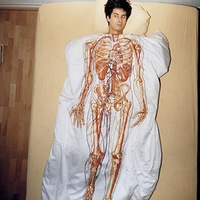 ���ⴲ�����ﱤ��~��ͼ��