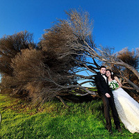 ϤSYDPHOTOAĵĻɴ̫л