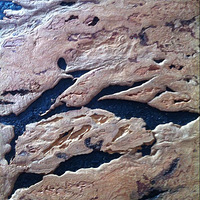 ��Ȼ��������ľǽ�塤����