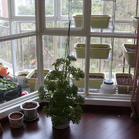 ɹɹ�Ҽҵ���̨