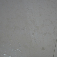 ���Ȳ���