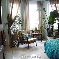 С䣬ֲ