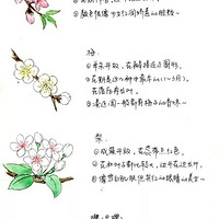 һӻӣ 