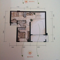 ������ɭ-��װ�ռǡ�+�ִ���Լ +�۲��Ҹ���