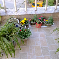 ����ɹ�Ҽҡ�+��һĨ��ɫ