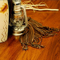 ǿ˵ذСáʵľذҾɫʴ