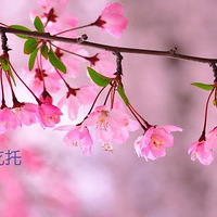 ǿ棺÷ӣһӻ滨ɵɵֲ壿
