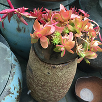 Ϻ羮·кũ