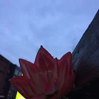 춥