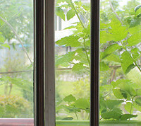 ǧ����ʼ�������Լ����ֵ�Сެ�ѵ�һ�仨����~