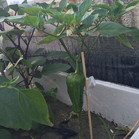 �ཷ������ջ��� �����������ǿ ����һ