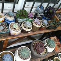 ��ľ��԰�������¼-1