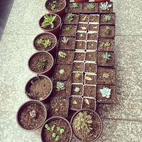 ����ǰ���λ���