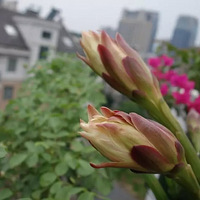 ��ҹ�е�����