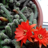 ��̴������ ������