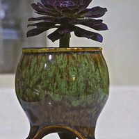 ���˸���������