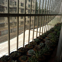 Ϊ�����⣬����Ҳ�Ƿ���