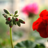 ģ�������ÿ�С�㣡