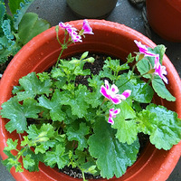 ���괺�����ÿ�����������С�磬����������