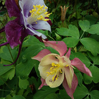 �ͳ���֮��