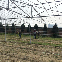  ��ľ��԰�������¼-2