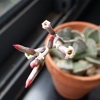 ÿ�����������ľ������ģ������ǿ�Ҫ���ð���