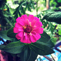 ��Ѫ�����Լ��������ֵ�С�������гɾ͸У�