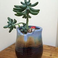 ����һ��ʱ�䣬���λ�������