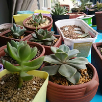 ���������