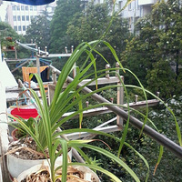 [����������]�ֽ��ջ�ʱ���껹����������