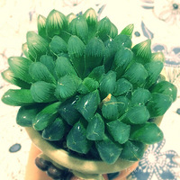 �⼸�����⻹��������