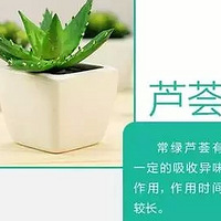 9��Ҿ���������ֲ�� !�����û��