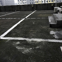 �ҵĻ�԰��������������