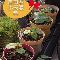 ���ÿ���Ȼ�������ϵ���