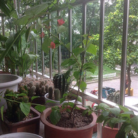 ����ľ�ϸ�������÷��ľ�Ͽ��ǵ���û������