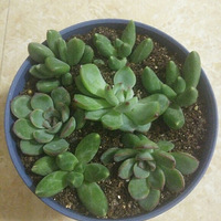 ������������ϡ���